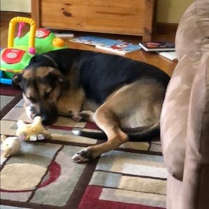 Meet your Posher, Matthew